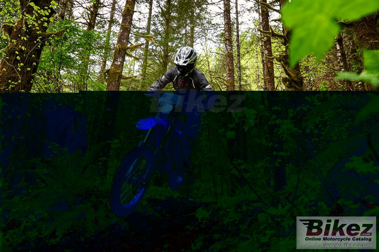Thumbnail for Yamaha WR450F 2018
