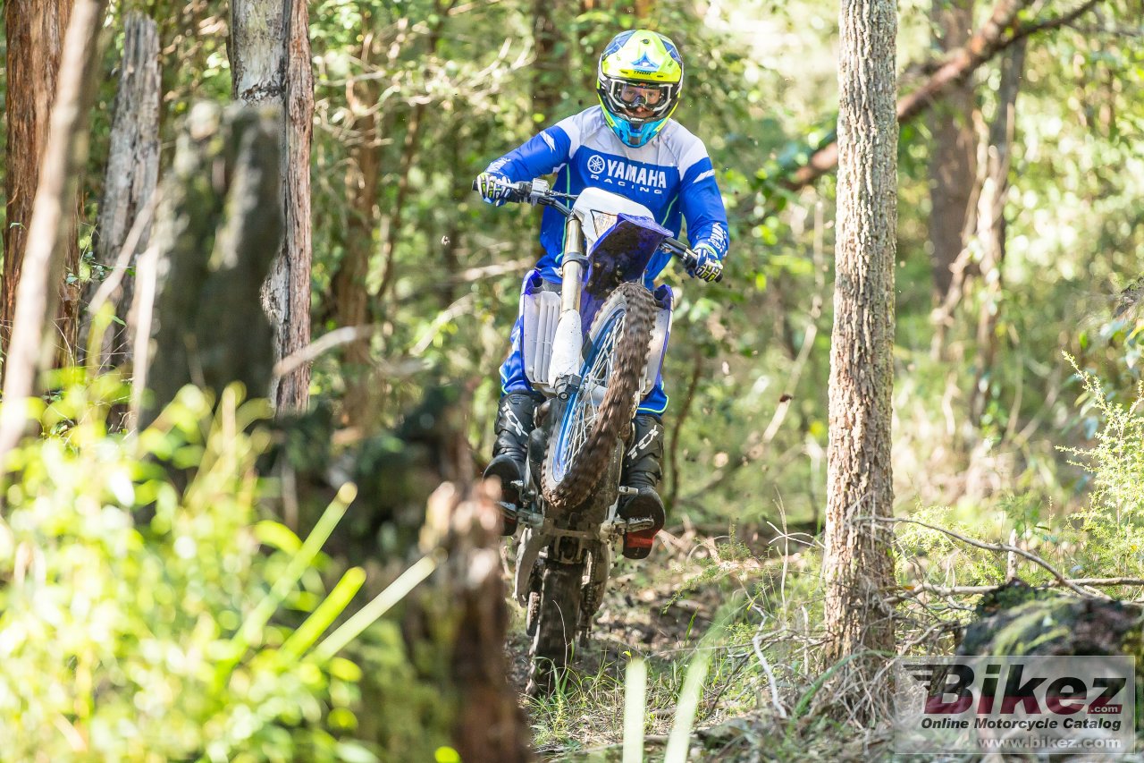 Thumbnail for Yamaha WR450F 2019