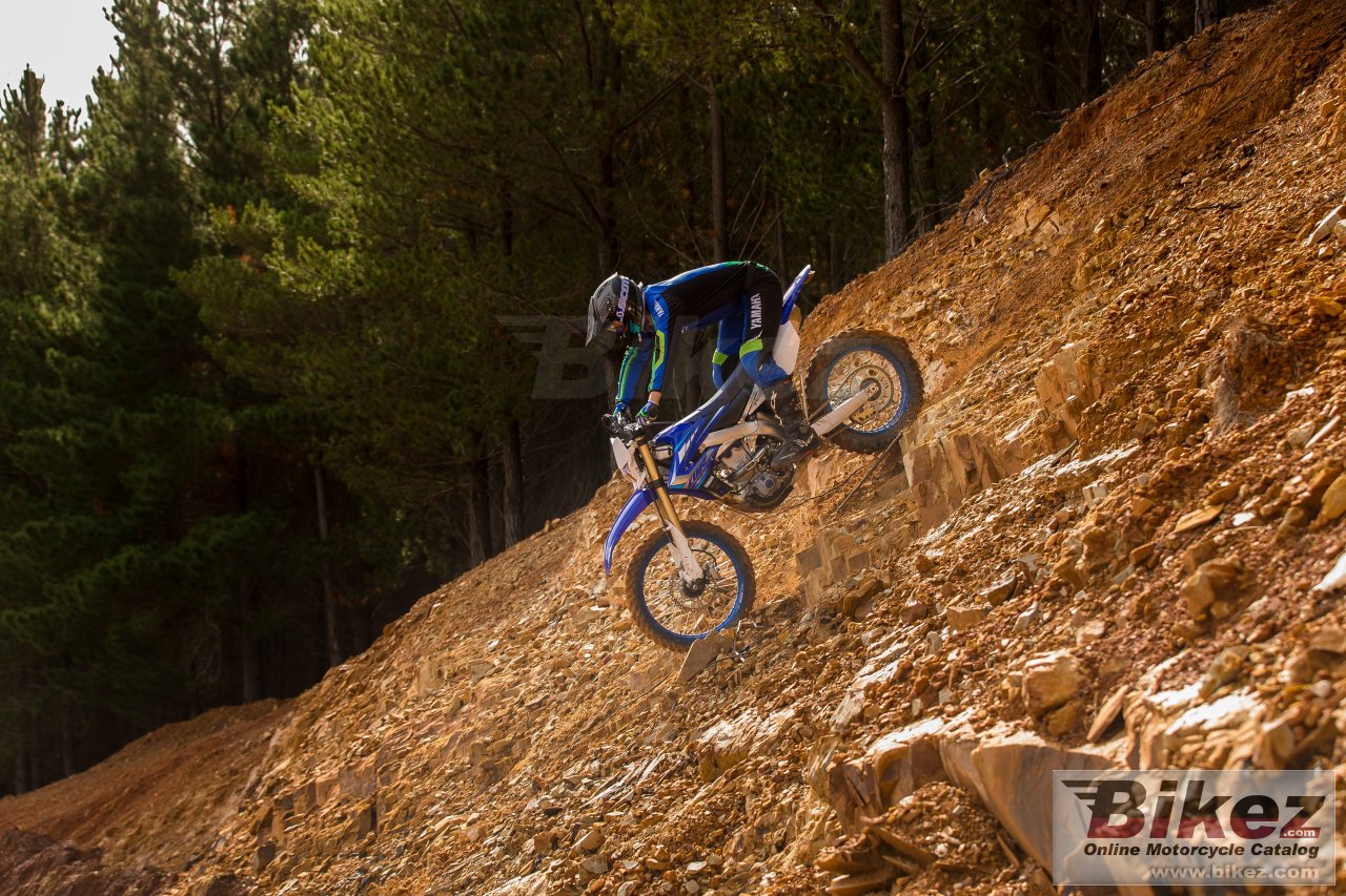 Thumbnail for Yamaha WR450F 2020