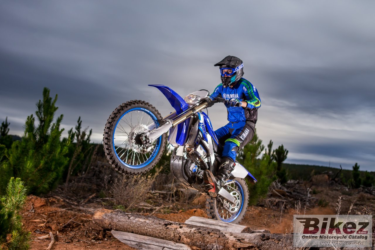 Thumbnail for Yamaha WR450F 2020