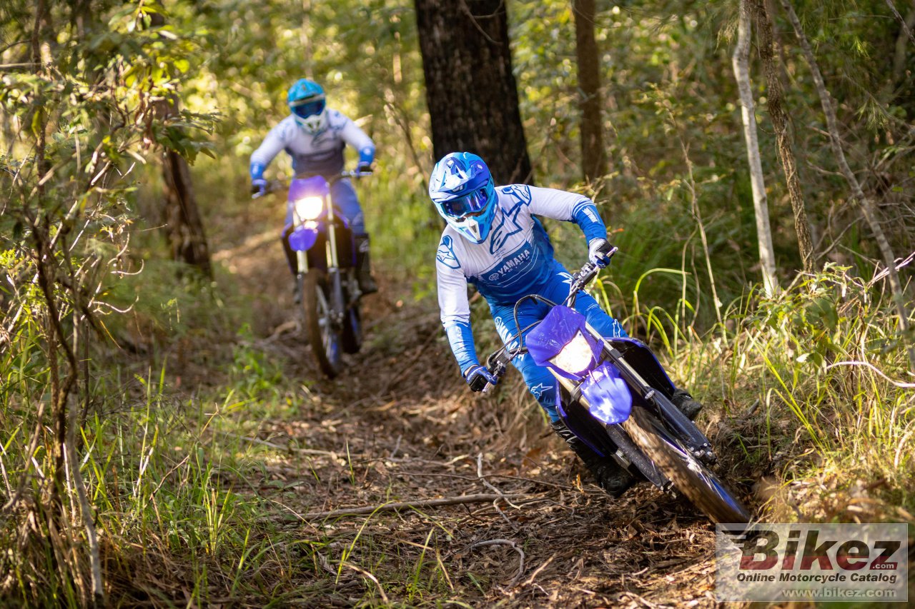 Thumbnail for Yamaha WR450F 2023
