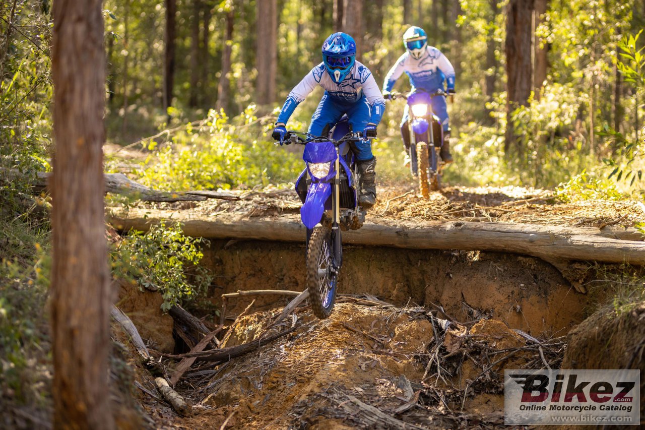Thumbnail for Yamaha WR450F 2023