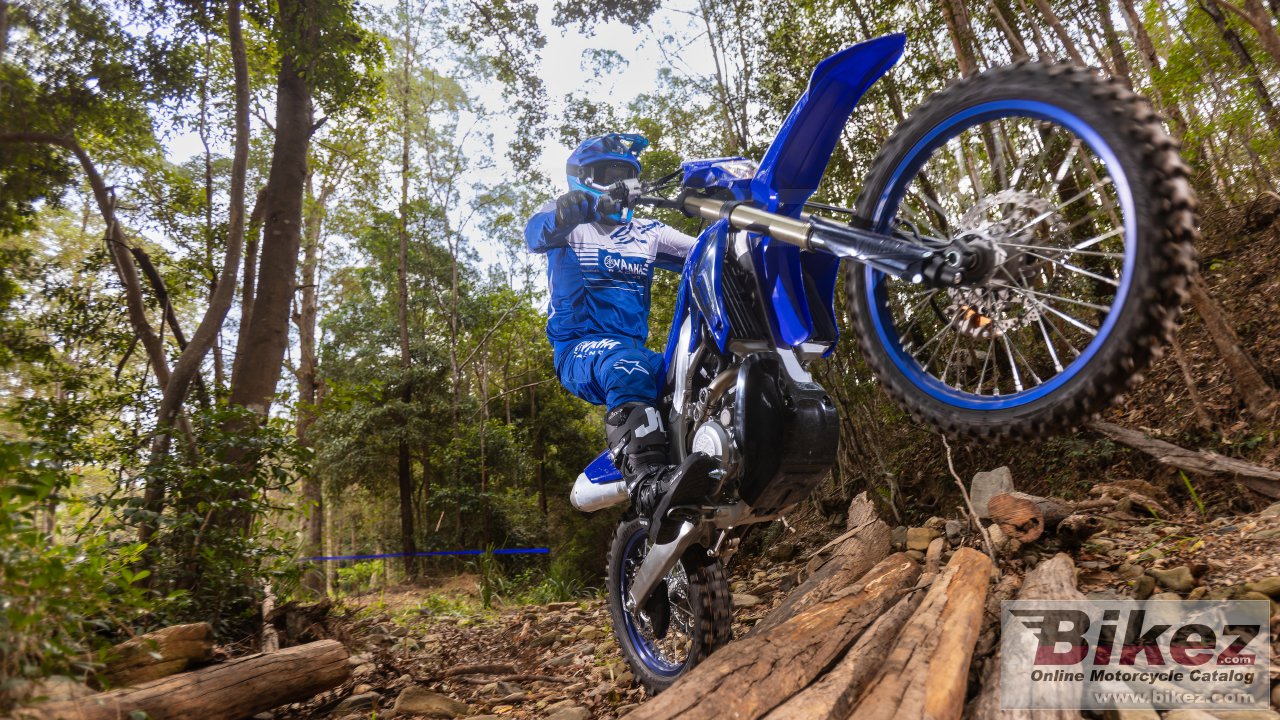 Thumbnail for Yamaha WR450F 2024