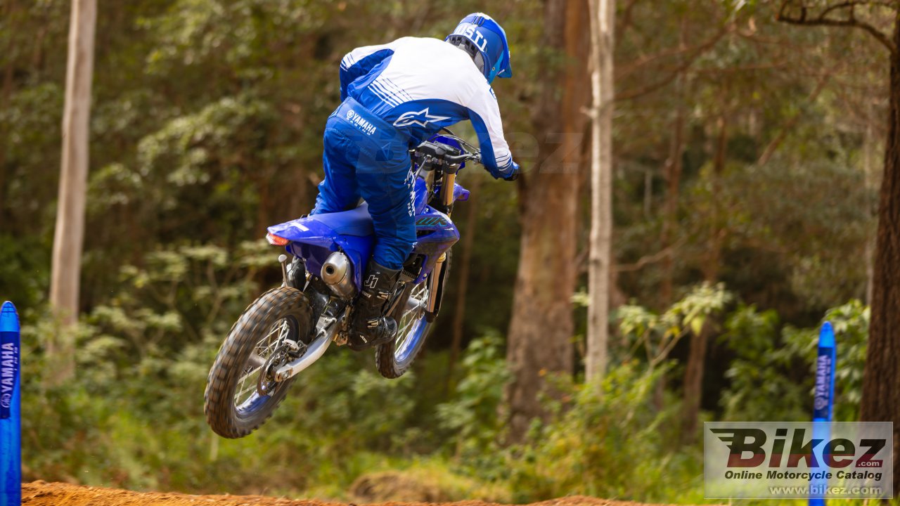 Thumbnail for Yamaha WR450F 2024