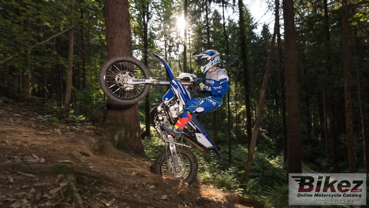 Thumbnail for Yamaha WR450F EnduroGP 2018
