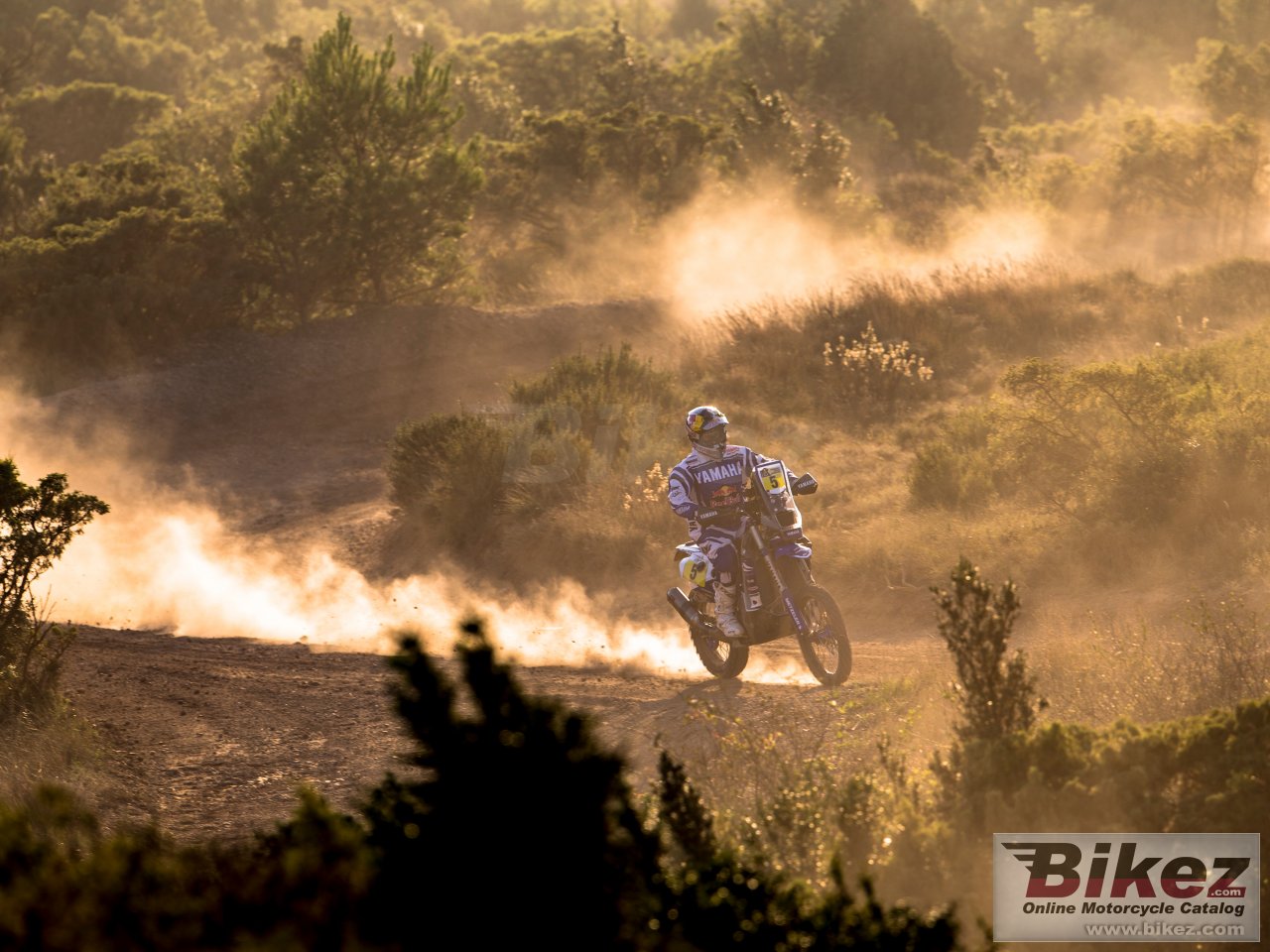 Thumbnail for Yamaha WR450F Rally 2017