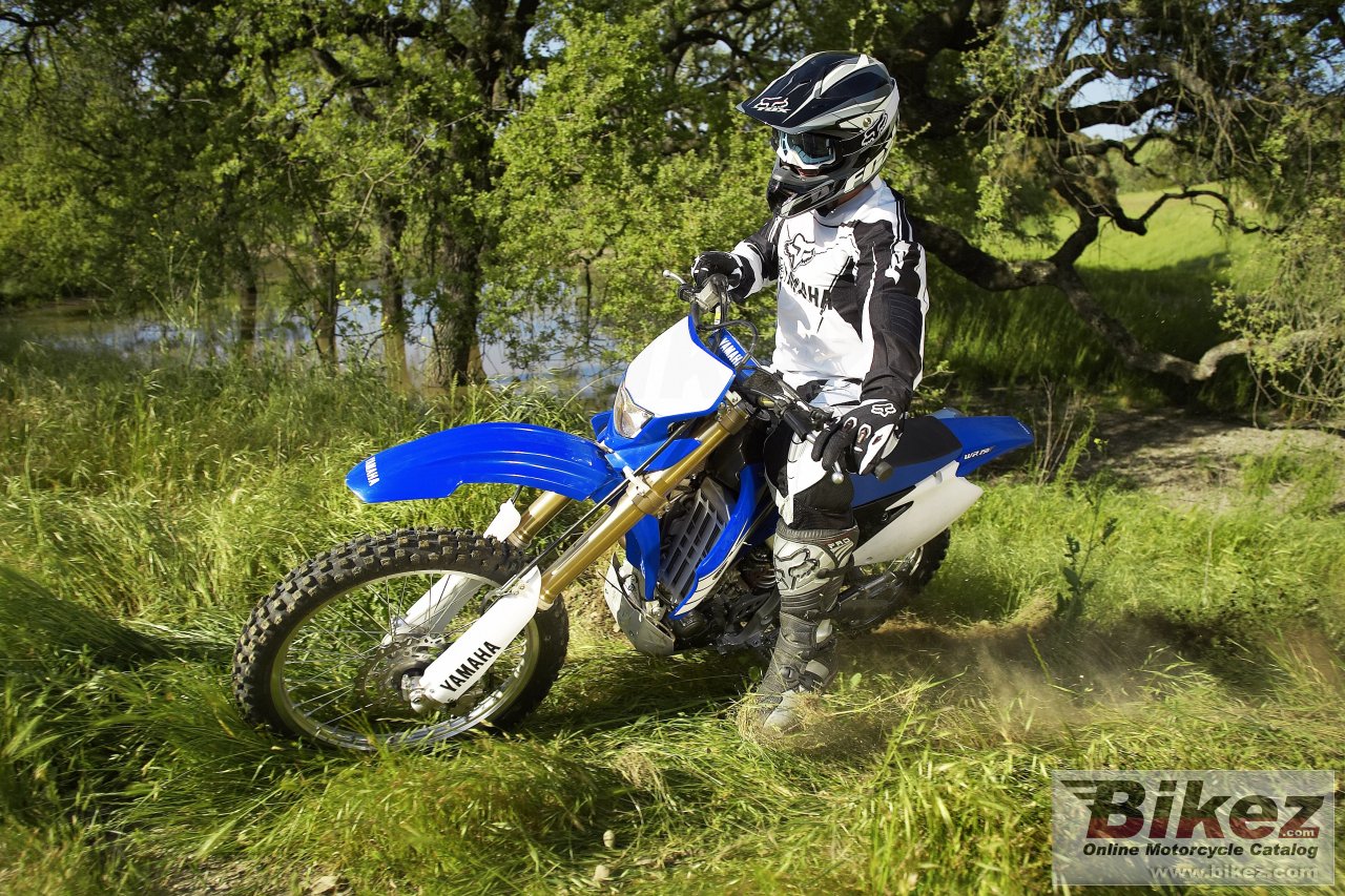 Thumbnail for Yamaha WR 250 F 2007