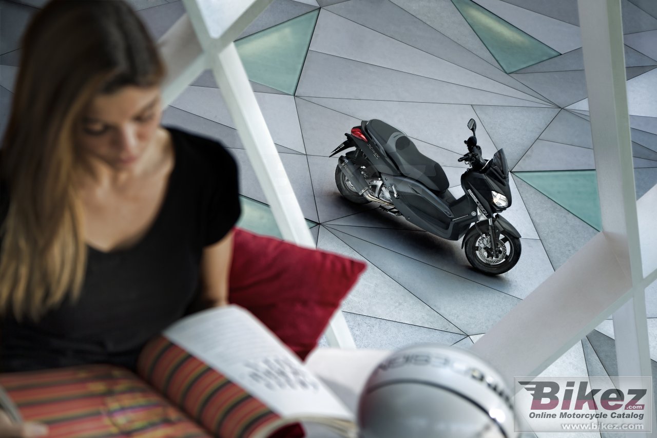 Thumbnail for Yamaha X-MAX 250 MOMO Design 2013