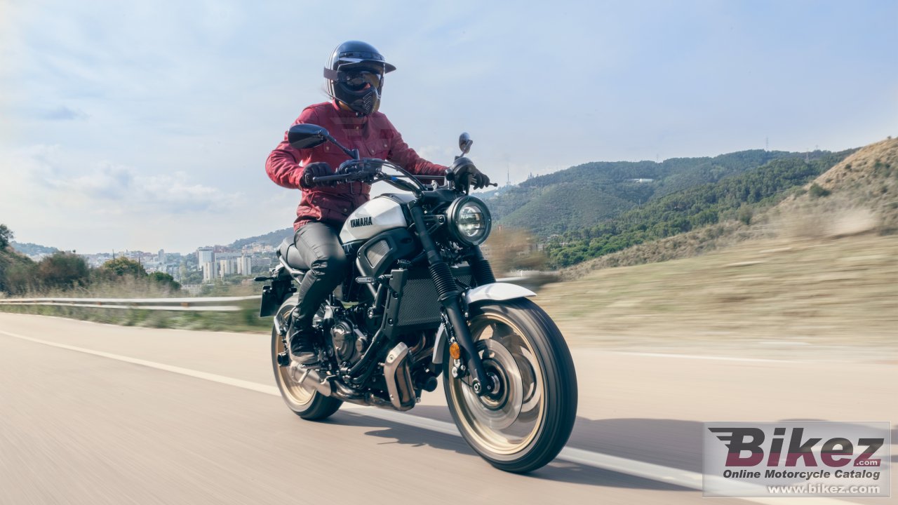 Thumbnail for Yamaha XSR700 Legacy 2023
