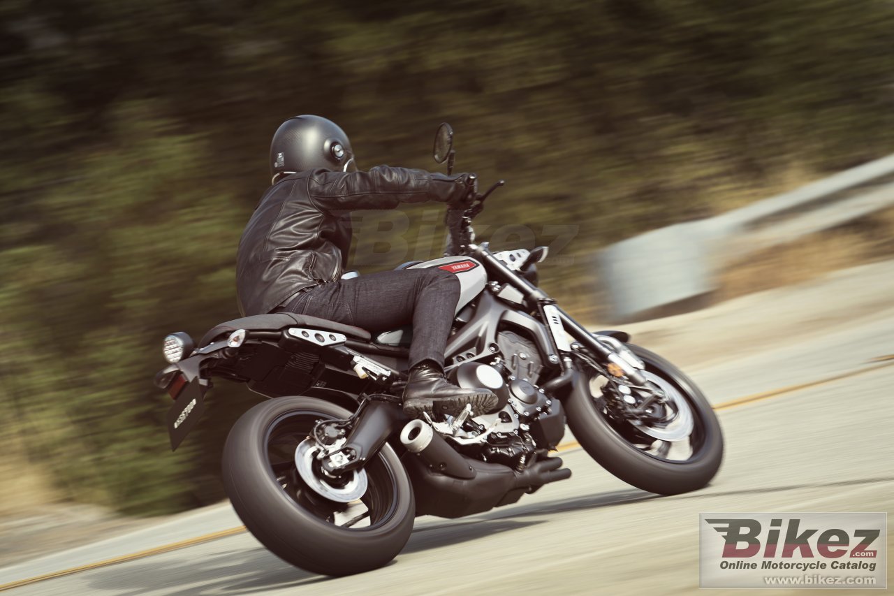 Thumbnail for Yamaha XSR900 2019