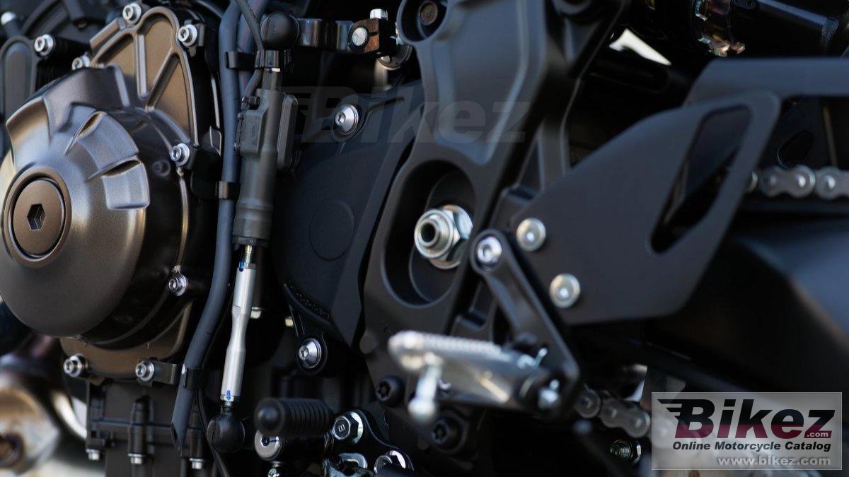 Thumbnail for Yamaha XSR900 2024
