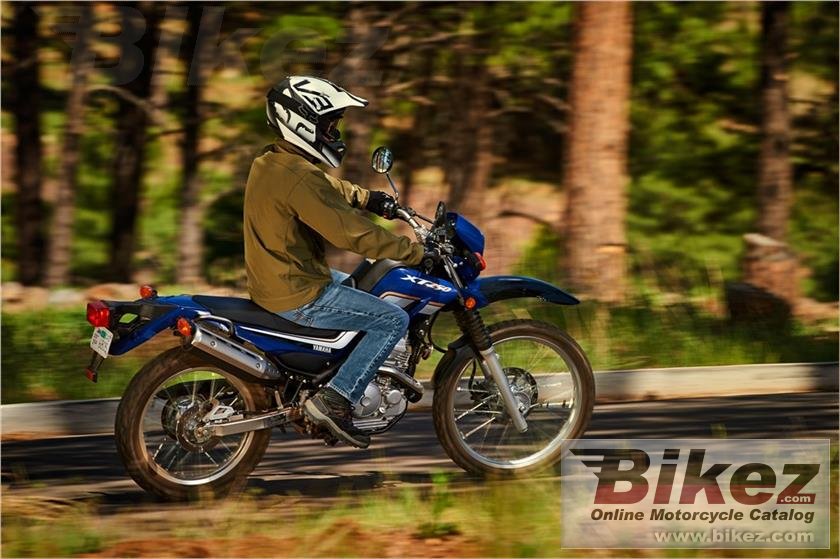 Thumbnail for Yamaha XT250 2017