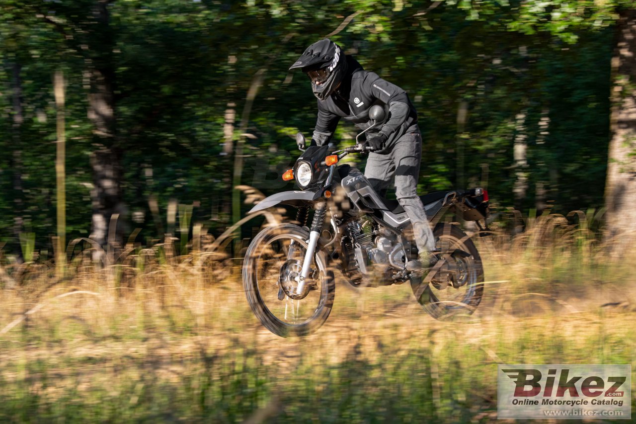 Thumbnail for Yamaha XT250 2023