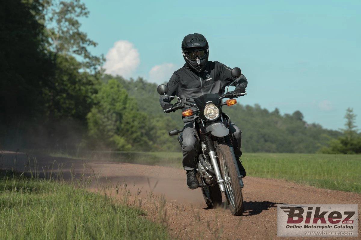 Thumbnail for Yamaha XT250 2024
