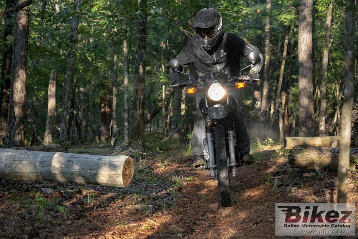 Thumbnail for Yamaha XT250 2024
