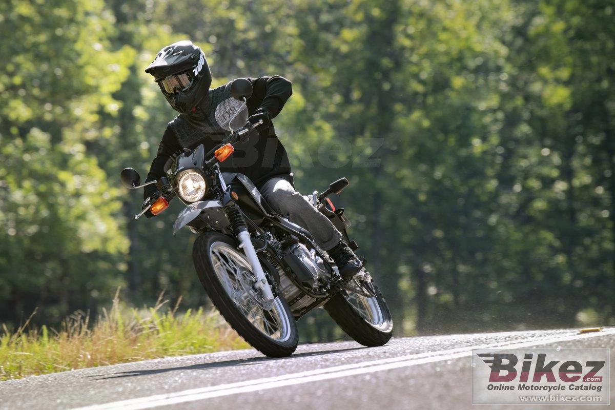 Thumbnail for Yamaha XT250 2024