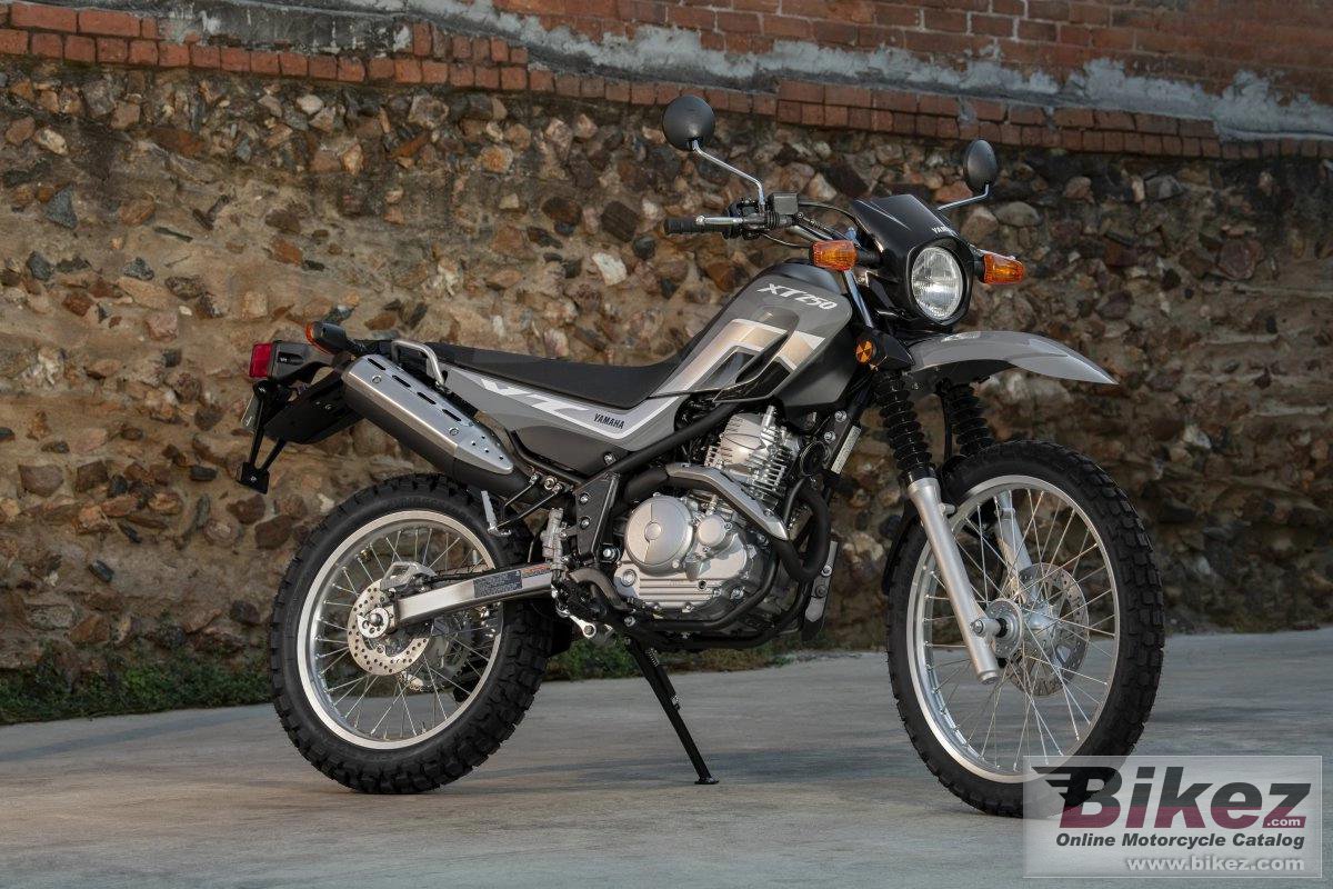 Thumbnail for Yamaha XT250 2024