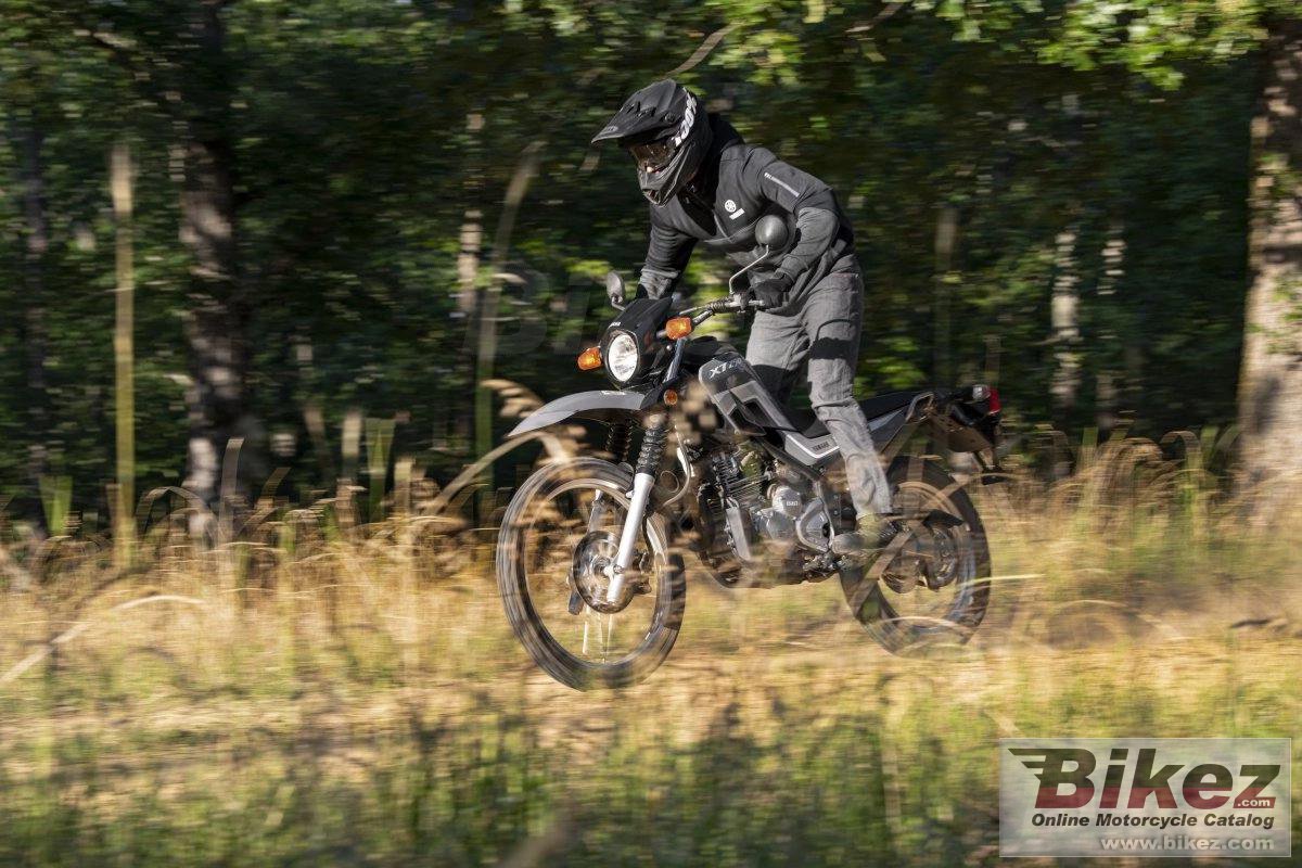 Thumbnail for Yamaha XT250 2024