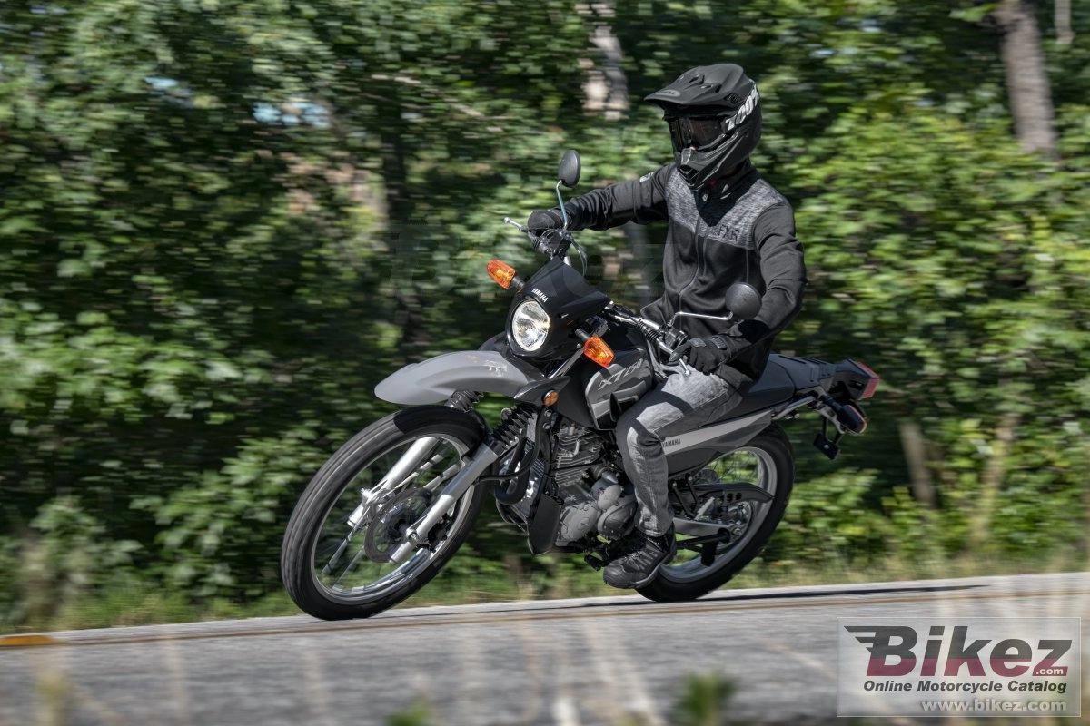 Thumbnail for Yamaha XT250 2024