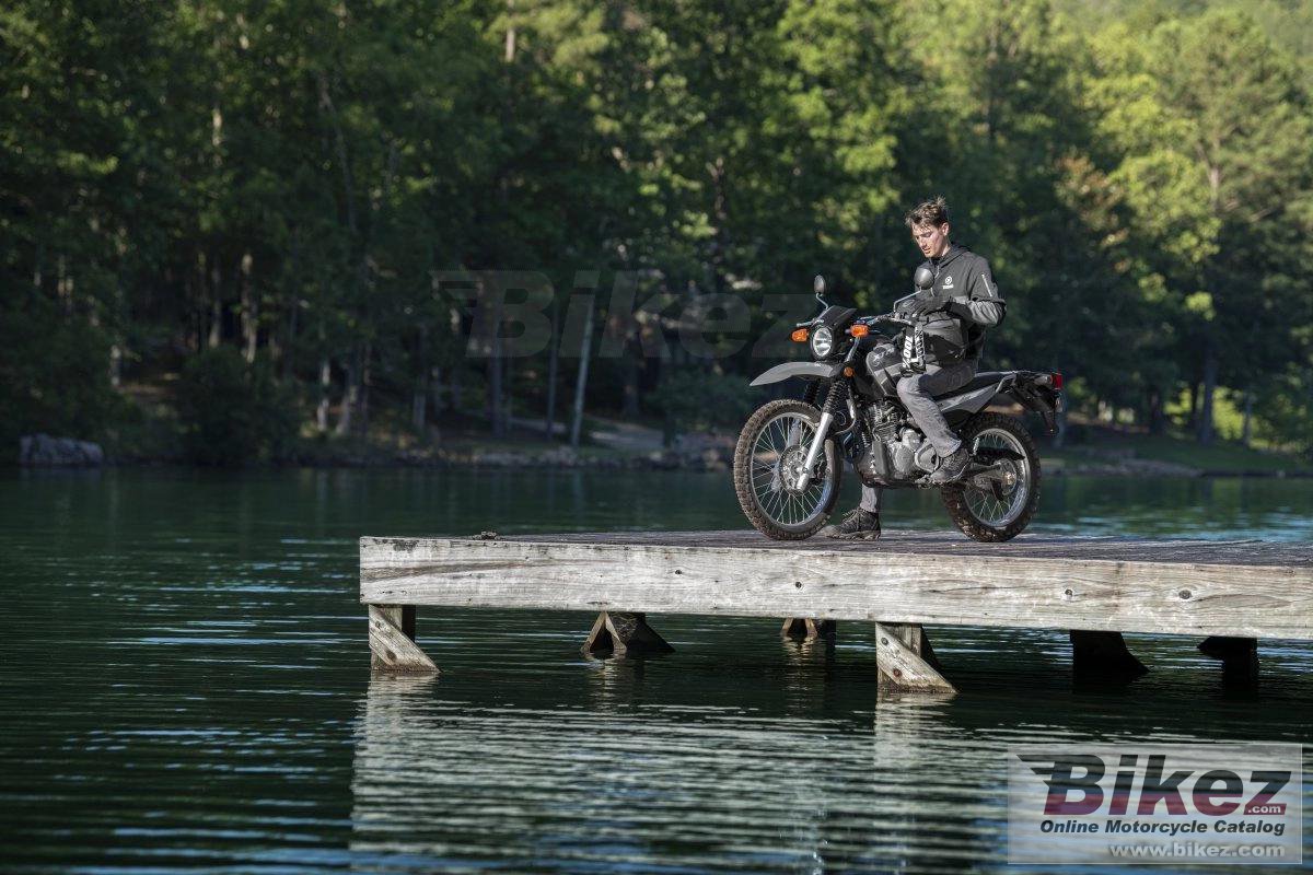 Thumbnail for Yamaha XT250 2024
