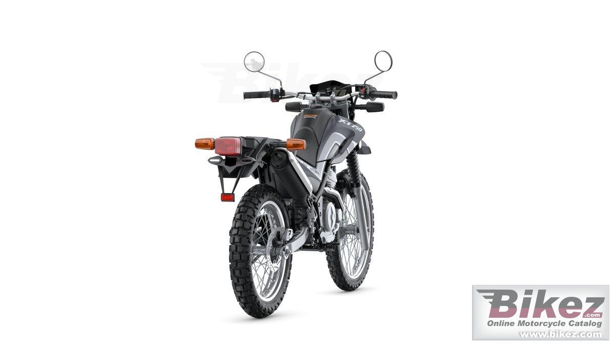 Thumbnail for Yamaha XT250 2025