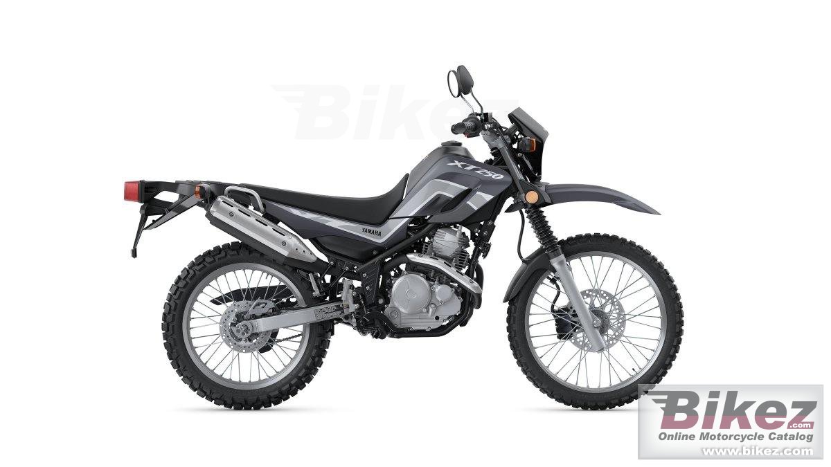 Thumbnail for Yamaha XT250 2025