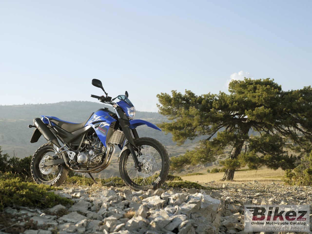 Thumbnail for Yamaha XT660R 2008