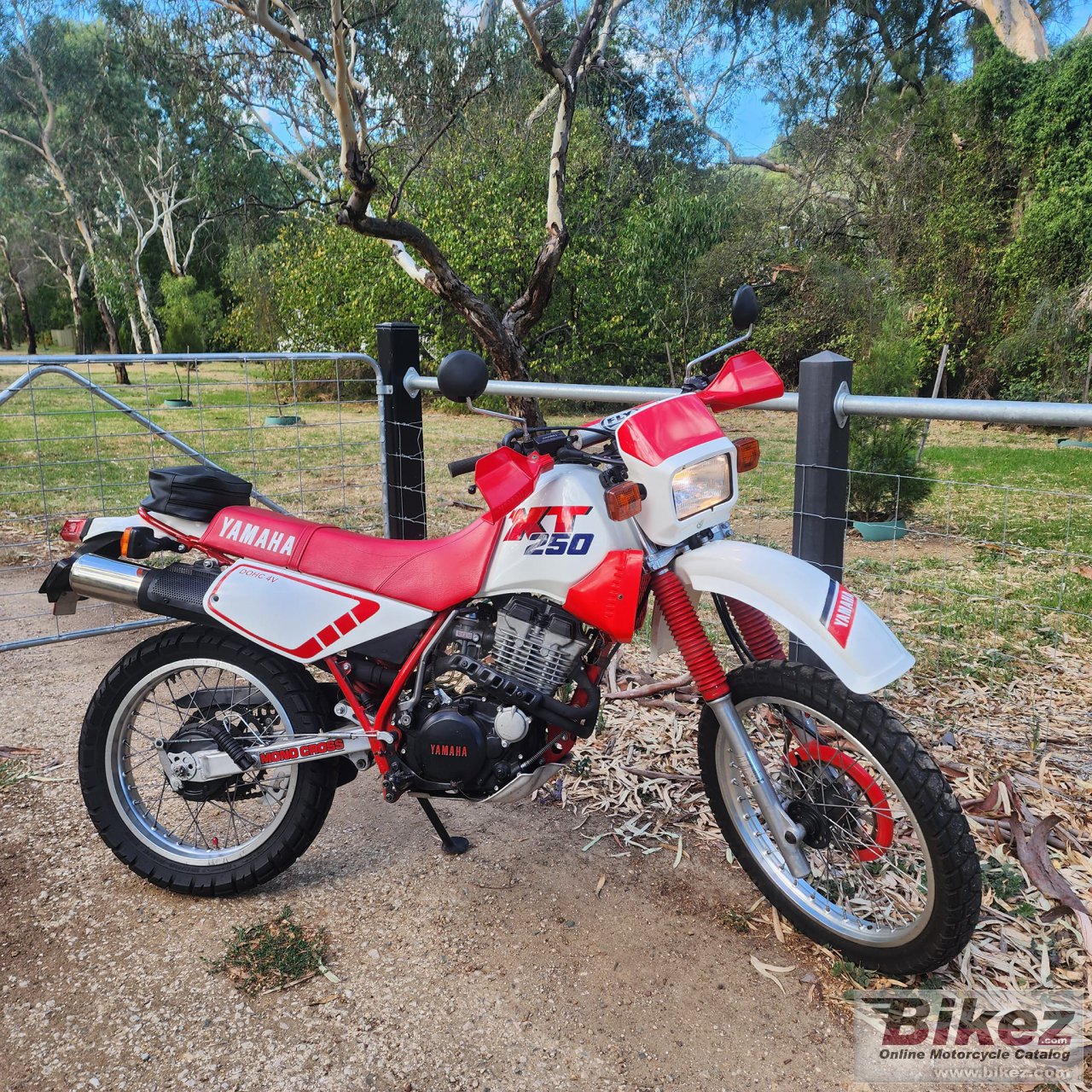 Thumbnail for Yamaha XT 250 1987