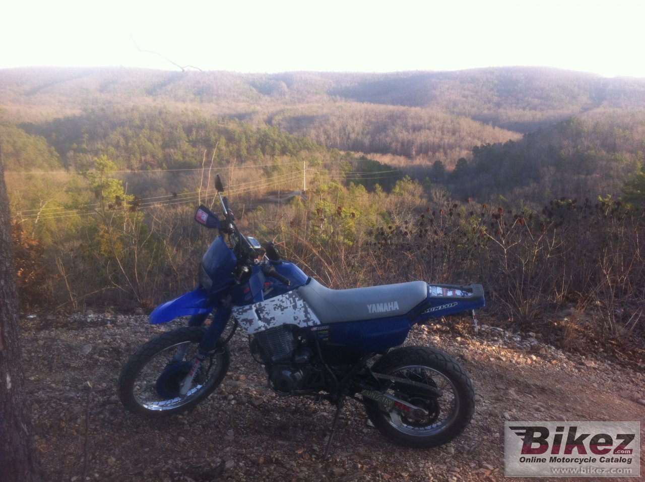 Thumbnail for Yamaha XT 600 E 1990