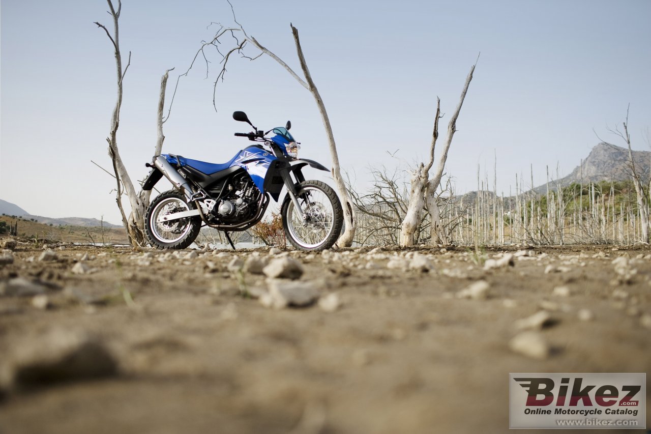 Thumbnail for Yamaha XT 660 R 2007
