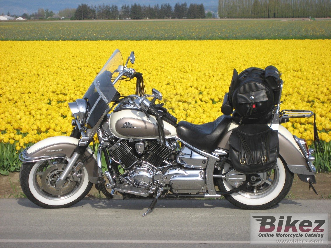 Yamaha XVS 1100 A Drag Star Classic