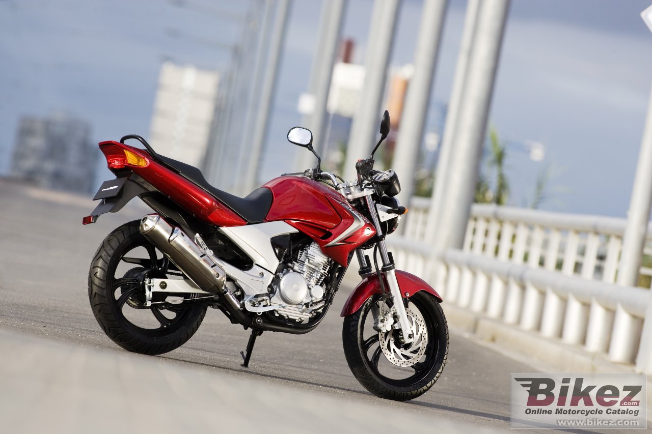 Thumbnail for Yamaha YBR250 2008