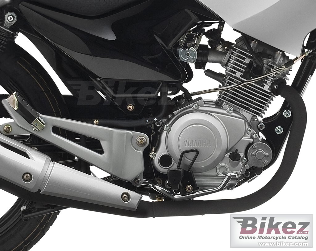 Thumbnail for Yamaha YBR 125 2010
