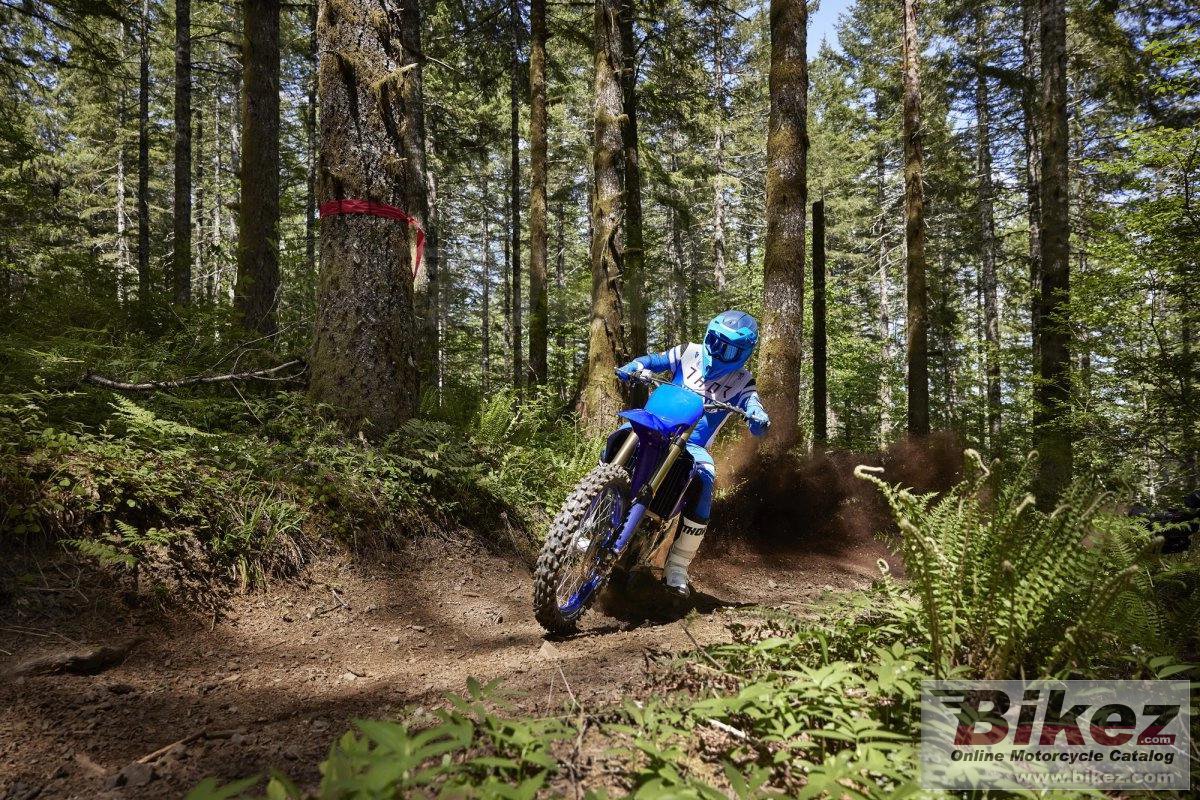 Thumbnail for Yamaha YZ450FX 2024