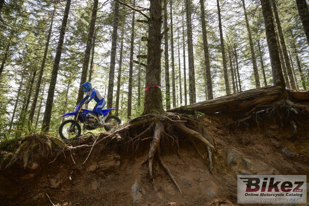 Thumbnail for Yamaha YZ450FX 2024