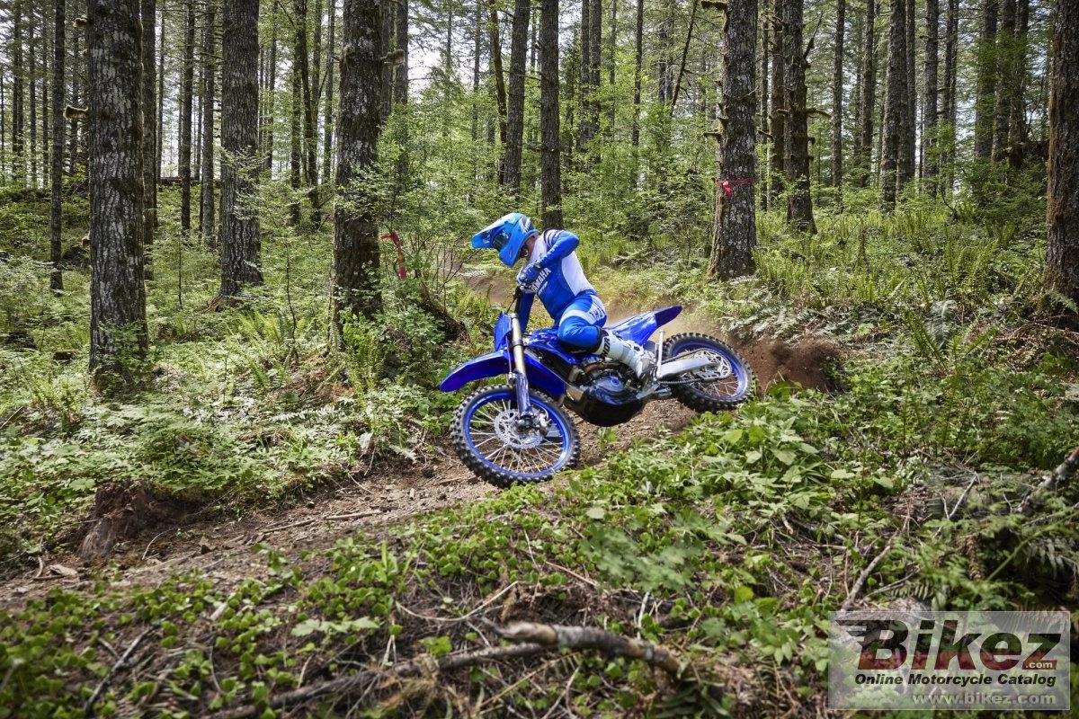 Thumbnail for Yamaha YZ450FX 2024