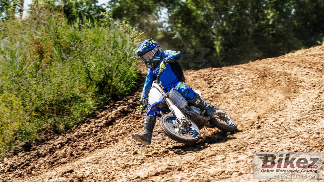 Thumbnail for Yamaha YZ 65 2020